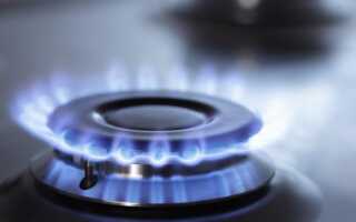 Дачные варианты газовых плит: подходящие виды оборудования